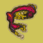 A Day in Asia 202301011625