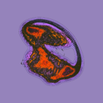 A Day in Asia 202301020238