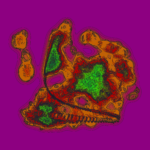 A Day in Asia 202301031354