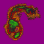 A Day in Asia 202301032207