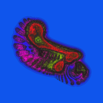 A Day in Asia 202301050955