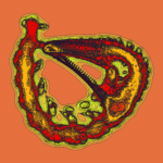 A Day in Asia 202301070659