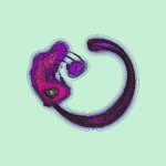 A Day in Asia 202301092025