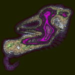 A Day in Asia 202301130457