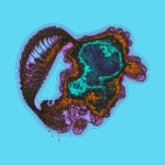 A Day in Asia 202301141213