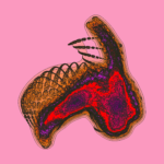 A Day in Asia 202301151010