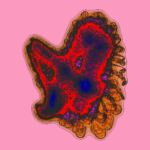 A Day in Asia 202301151226