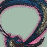 A Day in Asia 202301161316