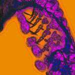 A Day in Asia 202301170255