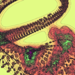 A Day in Asia 202301181409