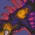 A Day in Asia 202301191953