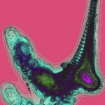 A Day in Asia 202301200234