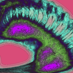 A Day in Asia 202301200442