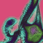 A Day in Asia 202301202015