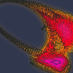 A Day in Asia 202301230557