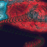 A Day in Asia 202301240133