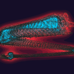 A Day in Asia 202301241623