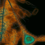 A Day in Asia 202301300110