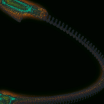 A Day in Asia 202301302228