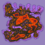 Just alive (with no particular aim) 20221231