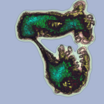 Just alive (with no particular aim) 20230102