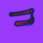 Just alive (with no particular aim) 20230106