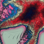 Just alive (with no particular aim) 20230113