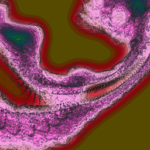 Just alive (with no particular aim) 20230125