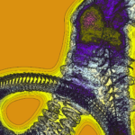 A Day in Asia 202301312205