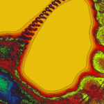 A Day in Asia 202302020059