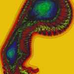 A Day in Asia 202302020615