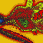 A Day in Asia 202302021718