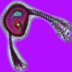 A Day in Asia 202302050631