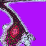 A Day in Asia 202302052310