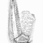 A Day in Asia 202302121329