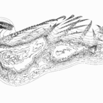 A Day in Asia 202302140134