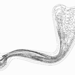 A Day in Asia 202302151248