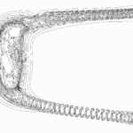 A Day in Asia 202302161939