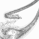 A Day in Asia 202302180927