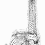 A Day in Asia 202302181810