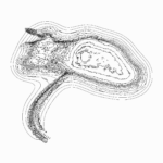 A Day in Asia 202302200840