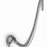 A Day in Asia 20230230322