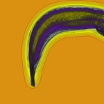 Just alive (with no particular aim) 20230128