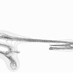 Just alive (with no particular aim) 20230216