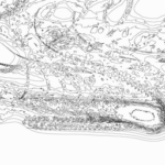 Just alive (with no particular aim) 202302221