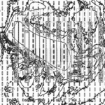 Asia with Multi-Standard 202304190450
