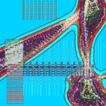 Asia with Multi-Standard 202304231209