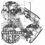 Asia with Multi-Standard Compound DigitalMicroscope version 202305080202