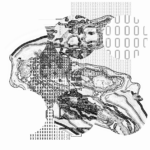 Asia with Multi-Standard 202305111018 Compound DigitalMicroscope version