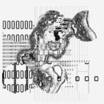 Asia with Multi-Standard 202305141624 Compound DigitalMicroscope version